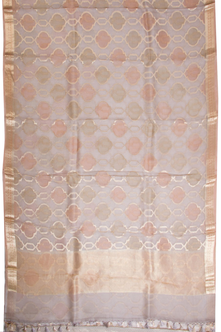 Grey Pure Silk Organza Banarasi Saree - Avishya