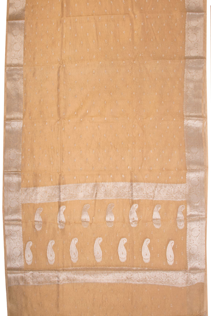 Light Brown Banarasi crushed Tissue Organza Saree - Avishya