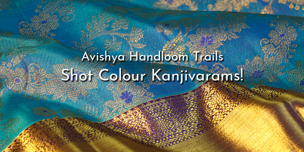 Unlocking the Blended Beauty of Shot Colour Kanjivaram Silk Sarees
