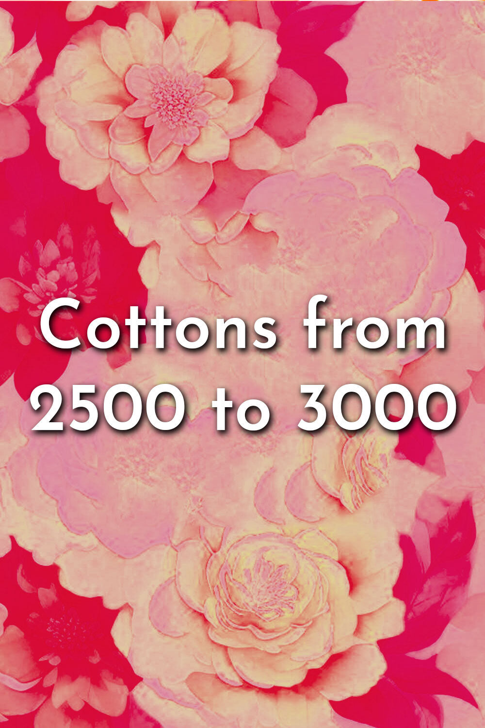 Cotton Sarees between 2500 to 3000