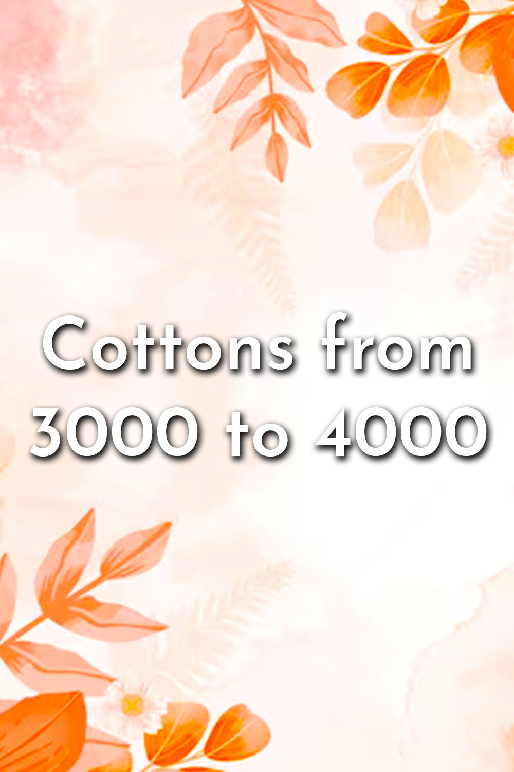 Cotton Sarees between 3000 to 4000