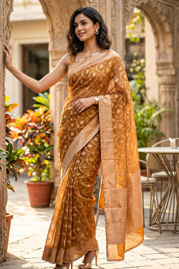 Brown Banarasi Tissue Organza Saree With Sequin Border 10072288