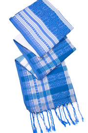 Blue Bengal Handwoven Cotton Saree 10075301