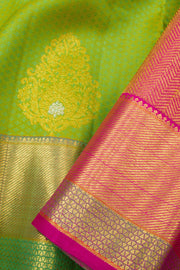 Lawn Green Pure Zari Jacquard Kanjivaram Silk Saree 10063076