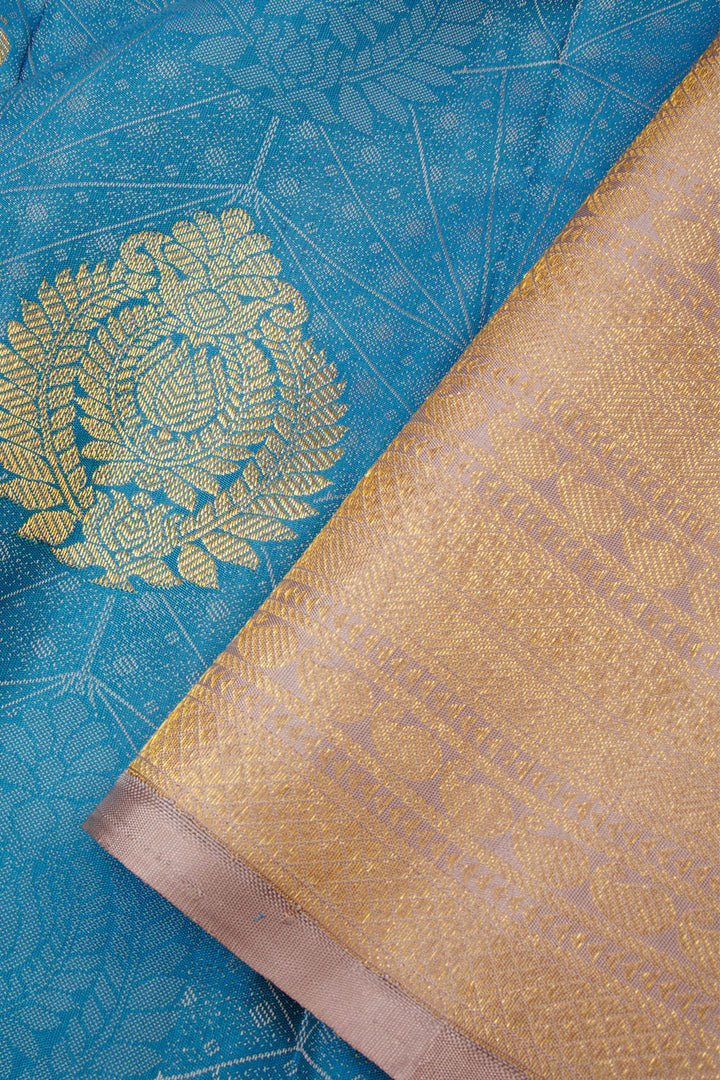 Cool Blue Pure Zari Borderless Jacquard Kanjivaram Silk Saree 10063401