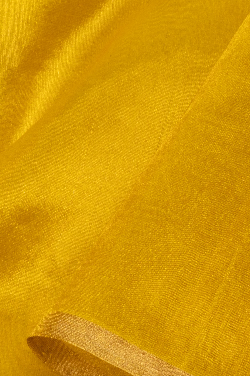 Gold Handwoven Chanderi Tissue Saree - Avishya