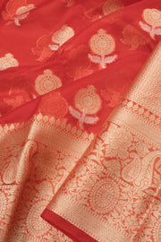 Red Banarasi Organza Saree - Avishya