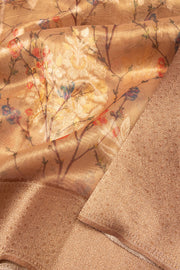 Golden Beige Tissue Organza Saree - Avishya