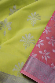 Green South Silk Cotton Saree 10073588