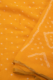 Yellow Green Bandhani Khadi Cotton Saree 10076915