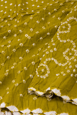 Olive Gold Green Tie And Dye Bandhani Cotton Saree 10076491