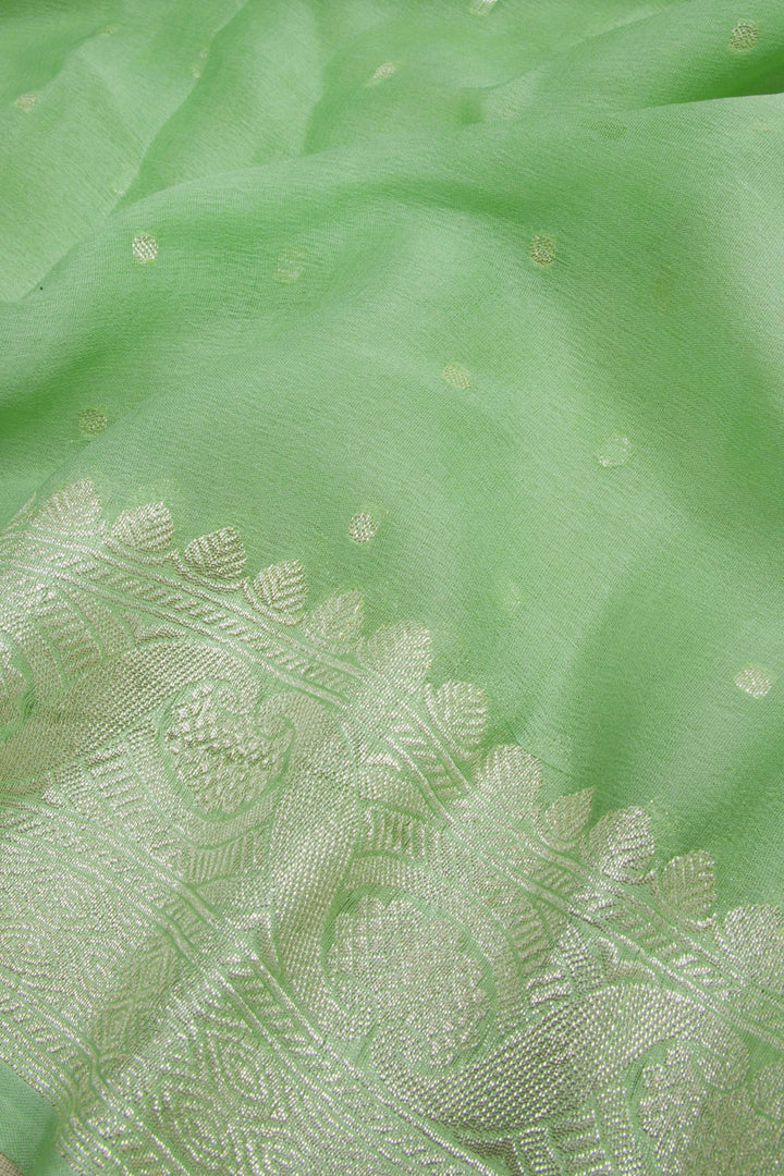 Pista Green Handloom Khaddi Banarasi Chiffon Saree 10062981
