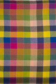 Multi Color Handloom Bhujodi Kala Cotton Saree 10063046