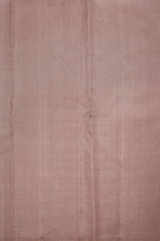 Cool Blue Borderless Jacquard Kanjivaram Silk Saree 10063401