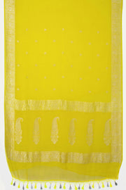 Yellow Green Handloom Khaddi Banarasi Chiffon Saree - Avishya