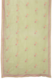 Green Hand Embroidered Chinon Silk Saree - Avishya