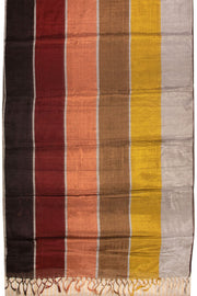 Multicolour Handwoven Chanderi Saree 10075514