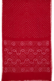 Berry Red Tie And Dye Bandhani Cotton Saree 10076493