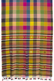 Multi Color Handloom Bhujodi Kala Cotton Saree 10063046