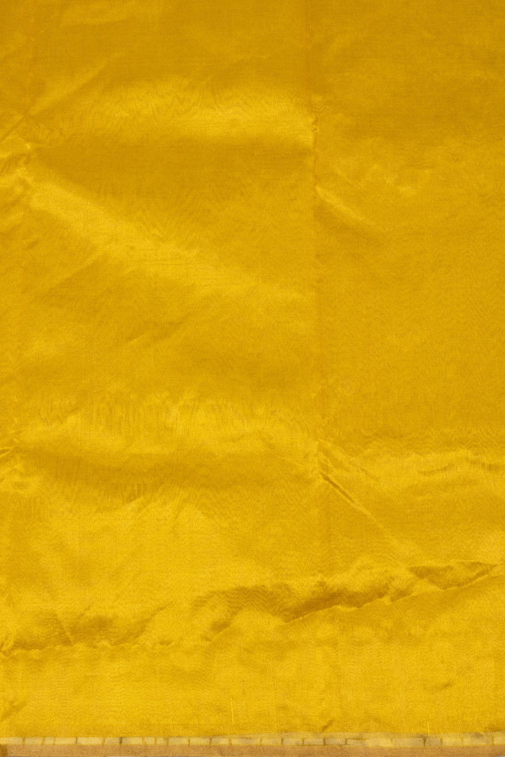 Gold Handwoven Chanderi Tissue Saree - Avishya