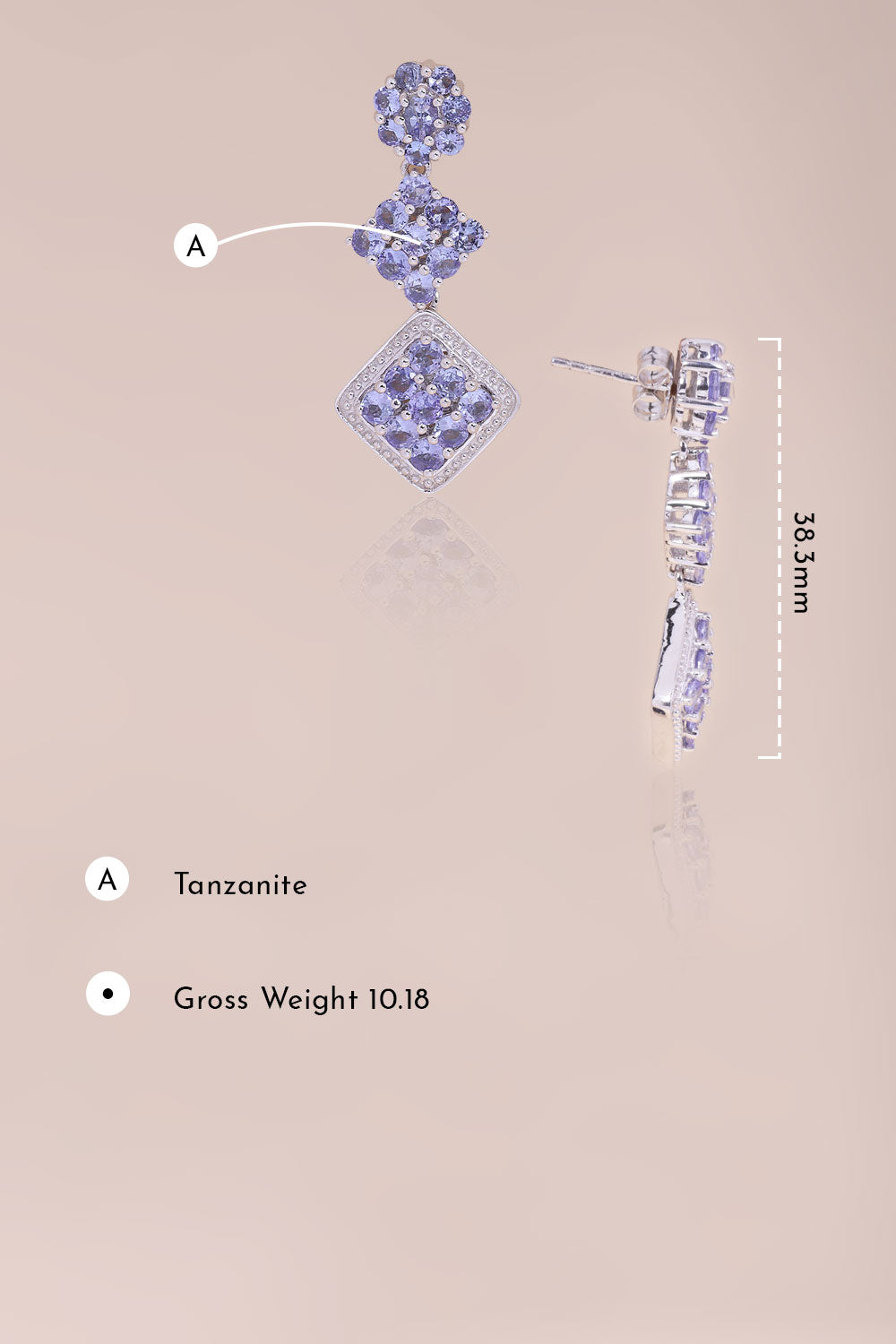 Tanzanite Sterling Silver Drop Earring 10067040