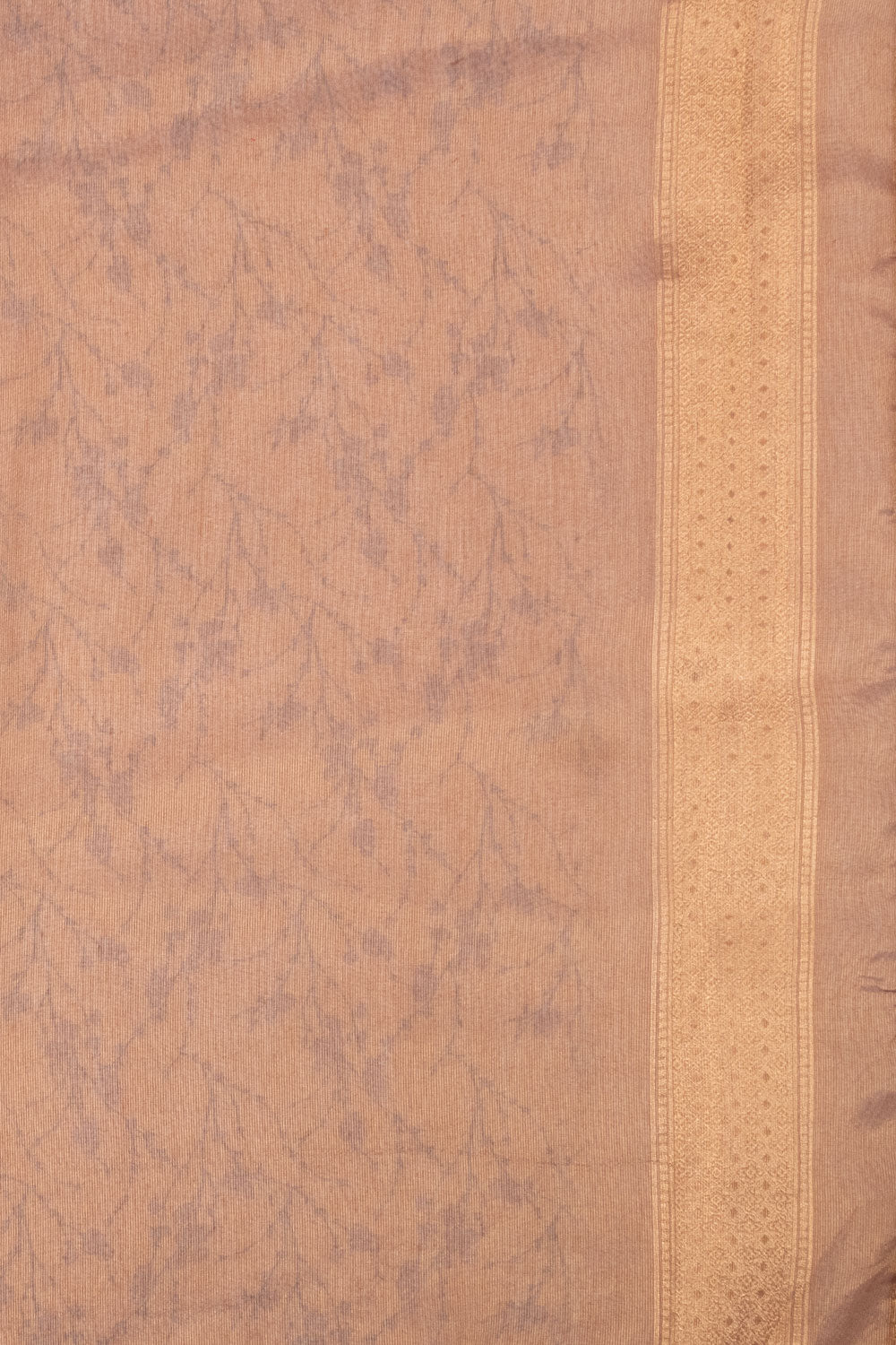Golden Beige Tissue Organza Saree - Avishya