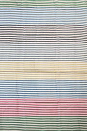 Multicolor Hand Painted Tussar Silk Saree - Avishya