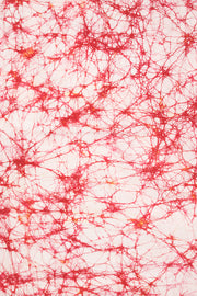 Red Batik Muslin Silk Saree - Avishya