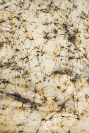 Black Batik Muslin Silk Saree - Avishya