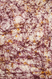 Golden Brown Batik  Muslin Silk Saree -Avishya