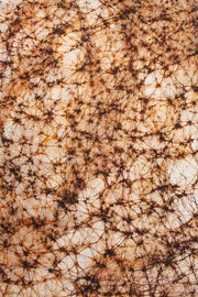 Black Batik Muslin Silk Saree-Avishya