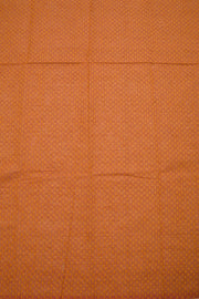 Blue Handloom Chettinad Cotton Saree 10070013 - Avishya