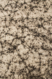 Black Batik Printed Muslin Silk Saree - Avishya