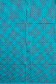 Raspberry Magenta Handloom Chettinad Cotton Saree With Checks And Paisley Border 10075849