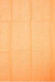 Blue Handloom Chettinad Cotton Saree 10075869