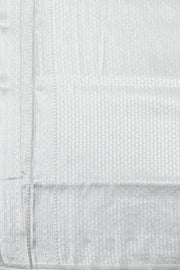 Sea Gray Kanjivaram Tissue Vegan Silk Saree 10075564