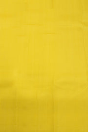 Grey Kanjivaram Silk Saree