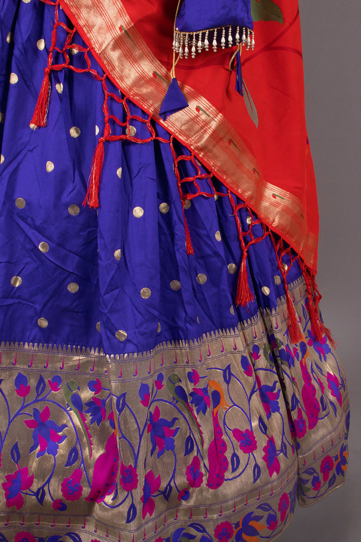 Violet Handcrafted Paithani Lehenga-Avishya