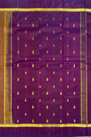 Brown Kanjivaram Pure Silk Saree with Contrast Pallu 10074889