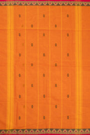 Pumpkin Glow Orange Handloom Kanchi Cotton Saree with Temple Border 10076584