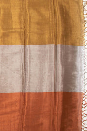 Multicolor Handwoven Chanderi Saree 10075511