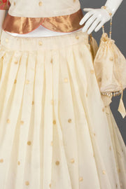 Cream Handcrafted Paithani Lehenga 10065964