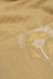 Beige Handloom Chanderi Saree 10055320
