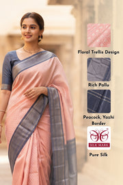 Pink Korvai Kanjivaram Pure Silk Saree With Silver Zari Border 10077901