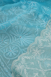 Sky Blue Chikankari Embroided Organza Saree 10078122