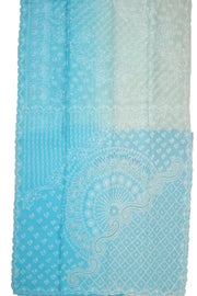 Sky Blue Chikankari Embroided Organza Saree 10078122