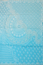 Sky Blue Chikankari Embroided Organza Saree 10078122
