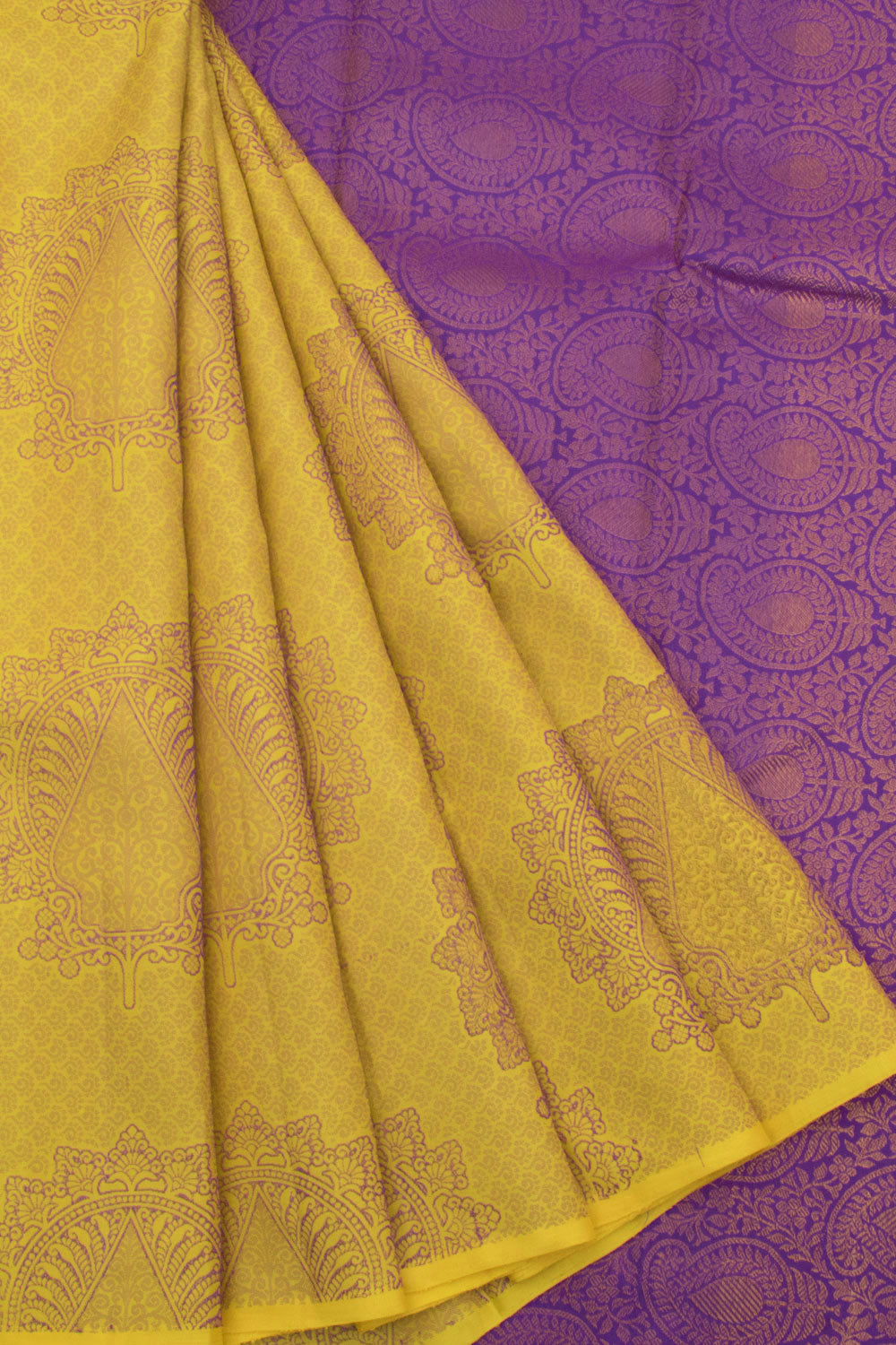 Handloom Pure Zari Borderless Jacquard Kanjivaram Silk Saree with Floral Motifs and Paisley Pallu