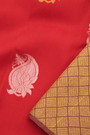 Red Handloom Pure Zari Borderless Kanjivaram Silk Saree 10059999