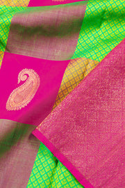 Multi colour Pure Zari Borderless Kanjivaram Silk Saree 10060057